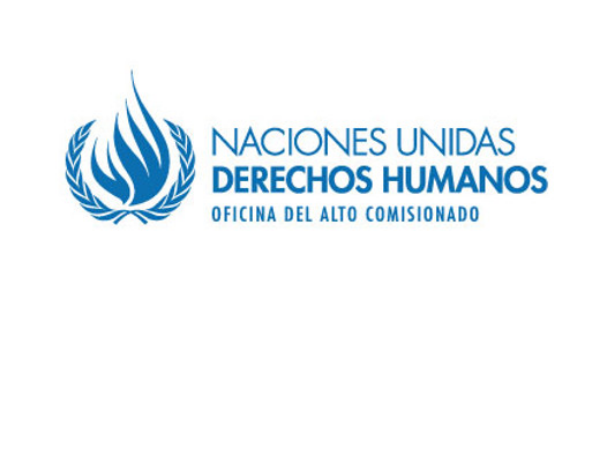 2Organizaciones presentaron informe sobre violencia de género a Naciones Unidas