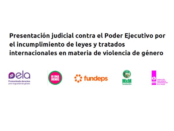 Presentación judicial contra el Poder Ejecutivo por el incumplimiento de leyes y tratados internacionales en materia de violencia de género