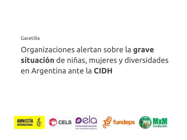 Organizaciones alertan sobre la grave situación de niñas, mujeres y diversidades en Argentina ante la CIDH