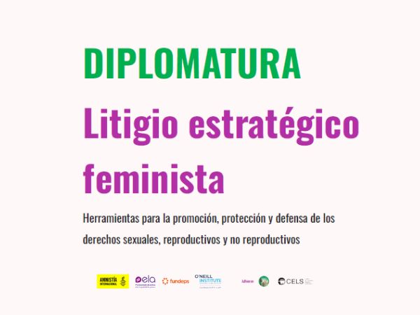 Diplomatura en Litigio Estratégico Feminista 2025