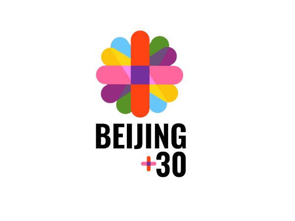 2Beijing +30 en ARGENTINA. Documento de ONGs de mujeres y feministas